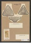 Triceratium montereyi Brightw. (de-Toni-Nr.: Genus 140, Species 3732) Zeichnungen Sammlung Grunow Nr. 7242 (NHMW-BOT-W0376240)